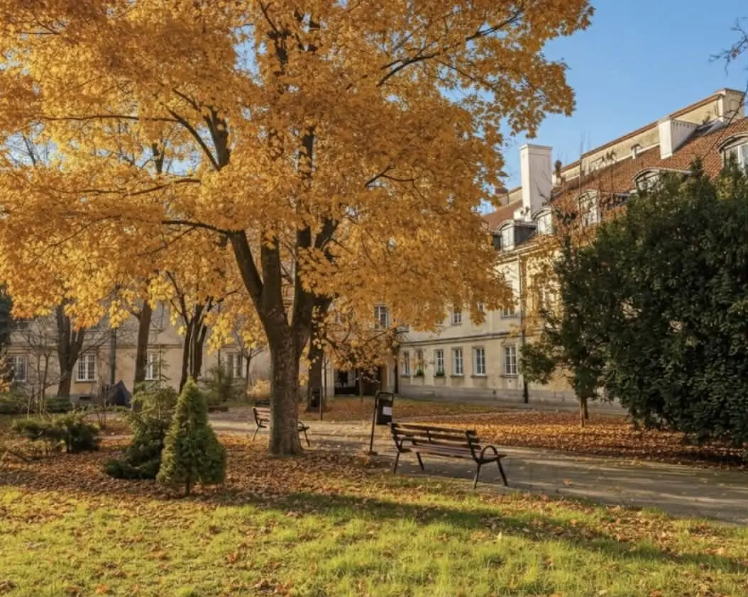 mazowieckie, Warszawa, Śródmieście, Trębacka, Przy Teatrze Wielkim 63m z 1897r. wysokie 330