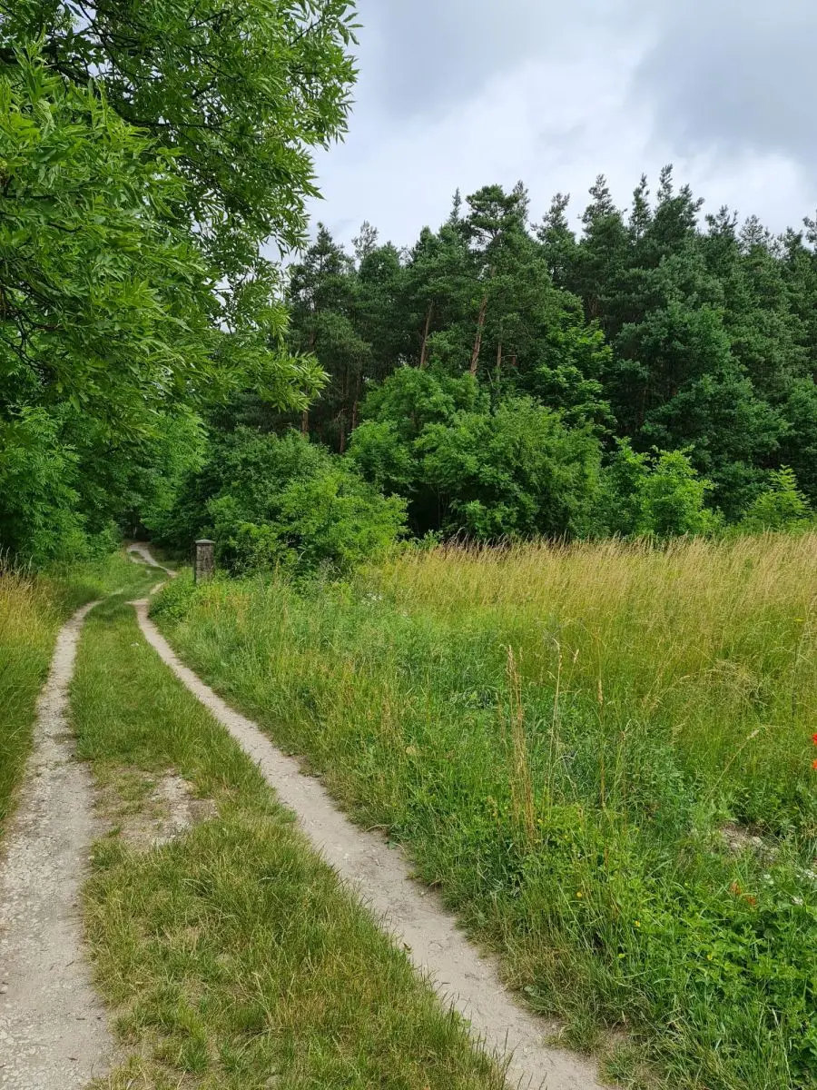 świętokrzyskie, włoszczowski, Krasocin, Oleszno, Działka budowlana | Oleszno | 1,04ha