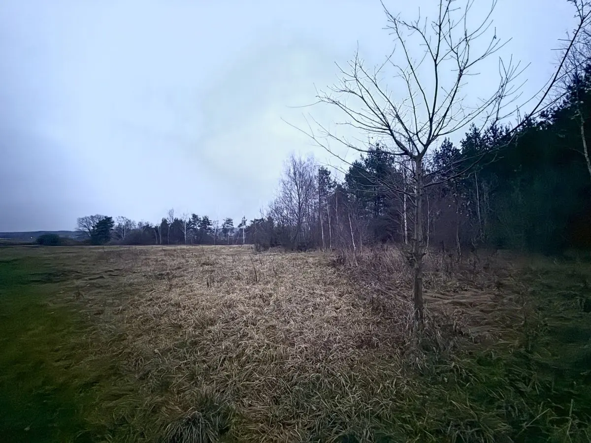 mazowieckie, nowodworski, Borkowo, Okazja! Duża działka rolna w Borkowie 9802m2